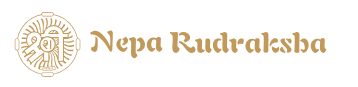 Nepa Rudraksha